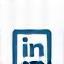 LinkedIn icon